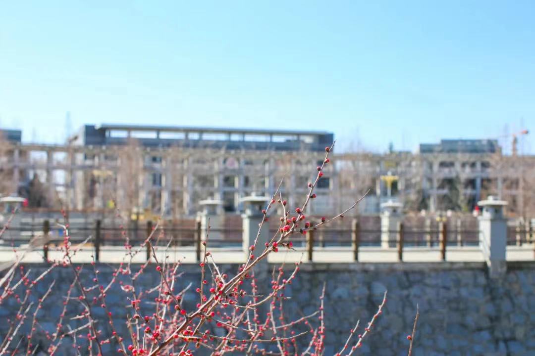 bb电子游戏官网(中国)官方网站