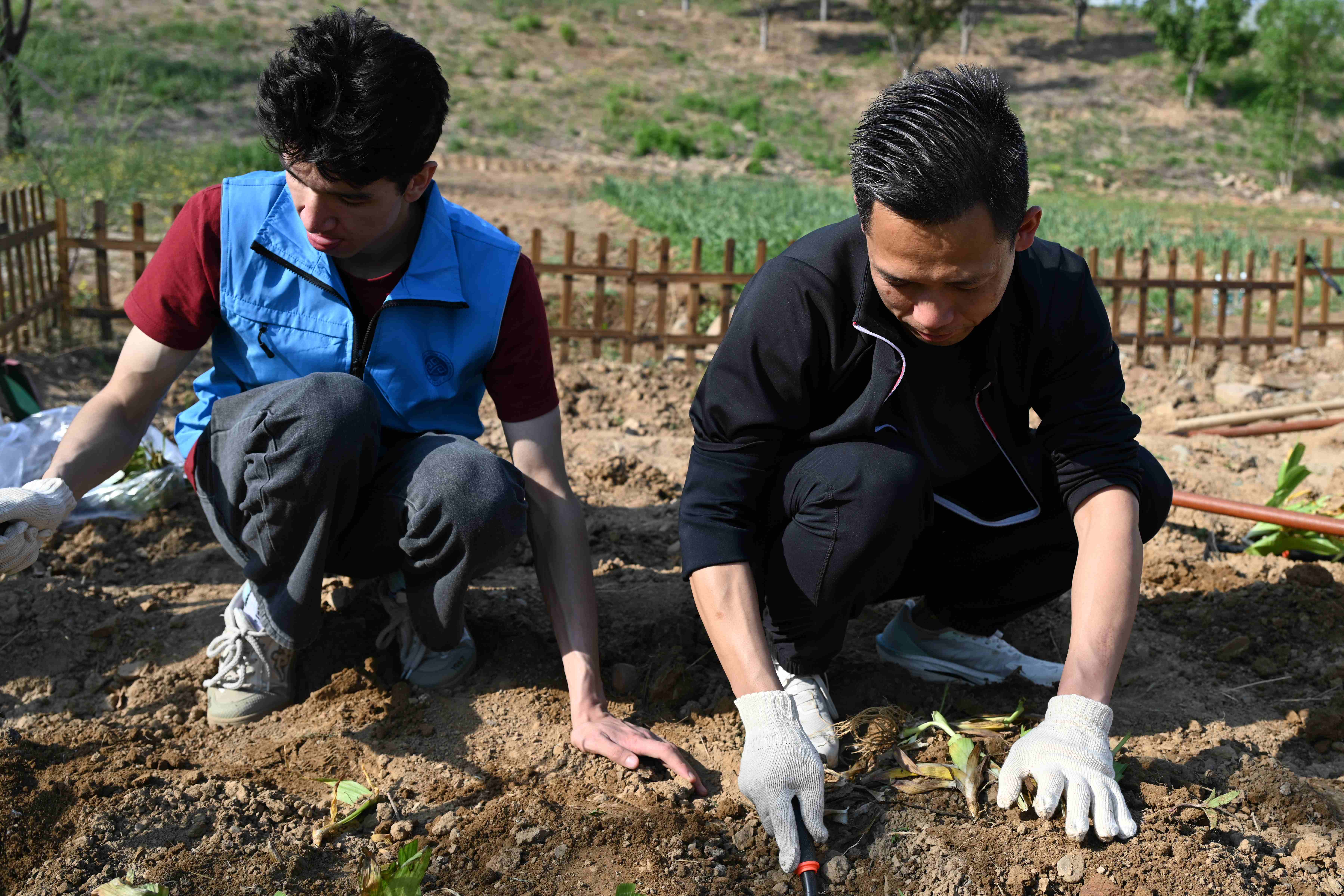 bb电子游戏官网(中国)官方网站