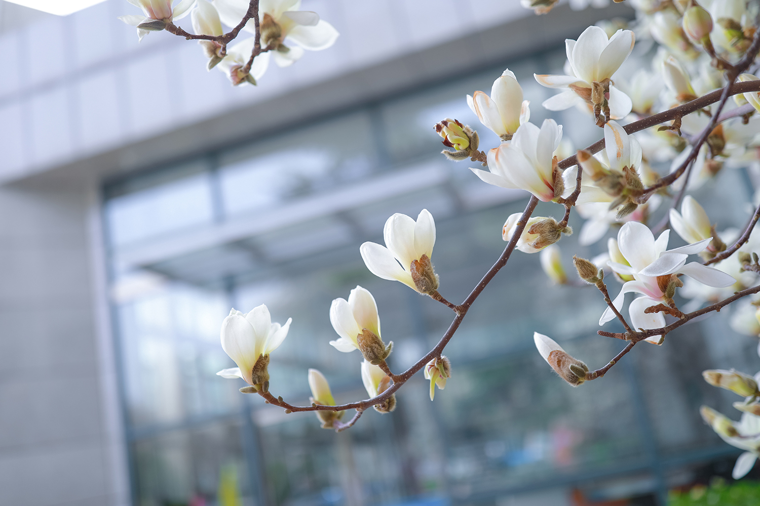 bb电子游戏官网(中国)官方网站