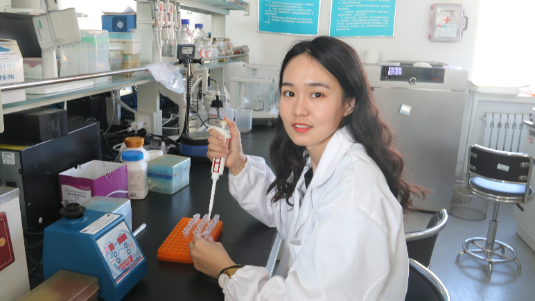 bb电子游戏官网(中国)官方网站