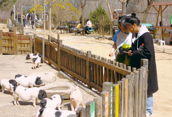 bb电子游戏官网(中国)官方网站