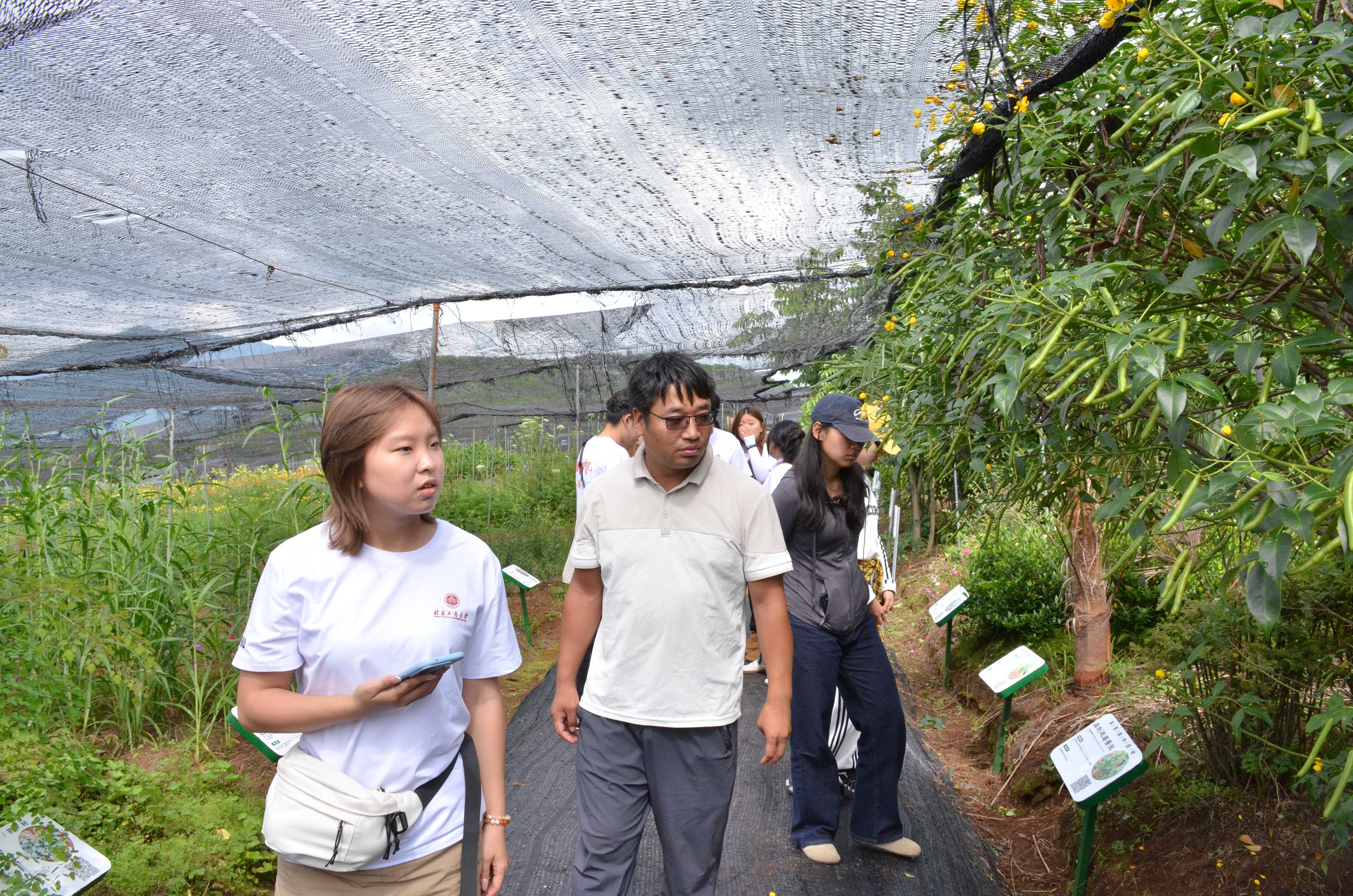 bb电子游戏官网(中国)官方网站