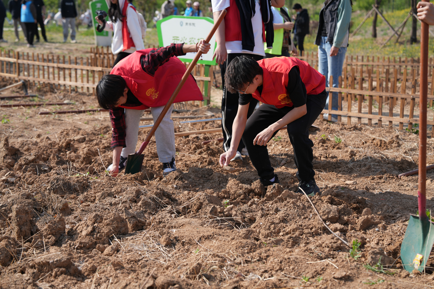 bb电子游戏官网(中国)官方网站
