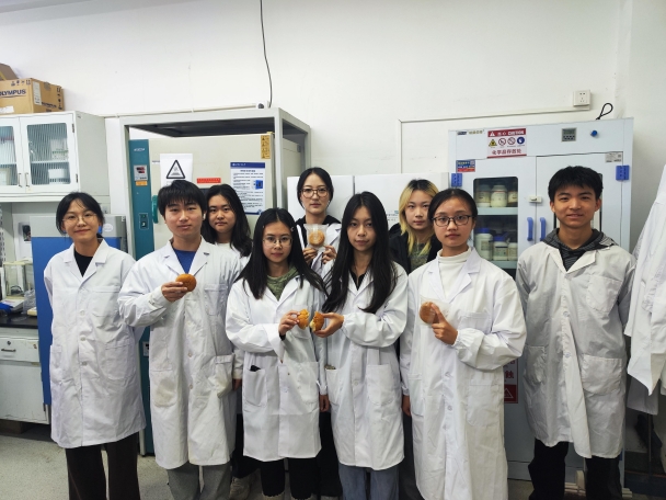 bb电子游戏官网(中国)官方网站