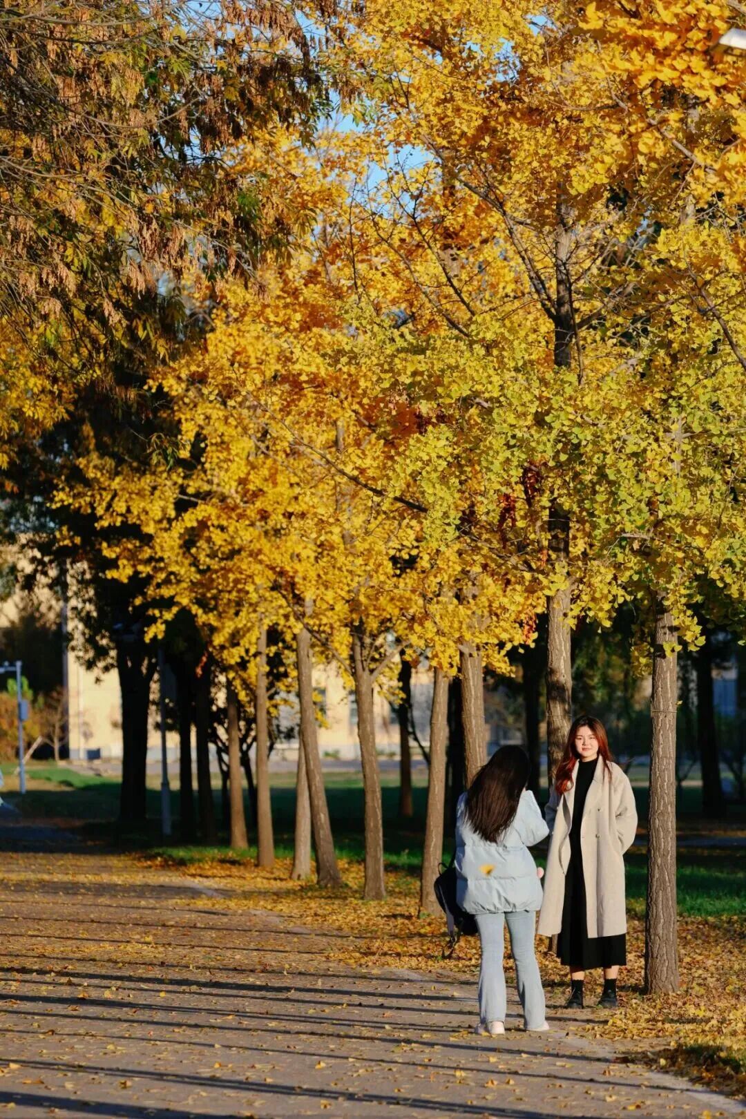 bb电子游戏官网(中国)官方网站