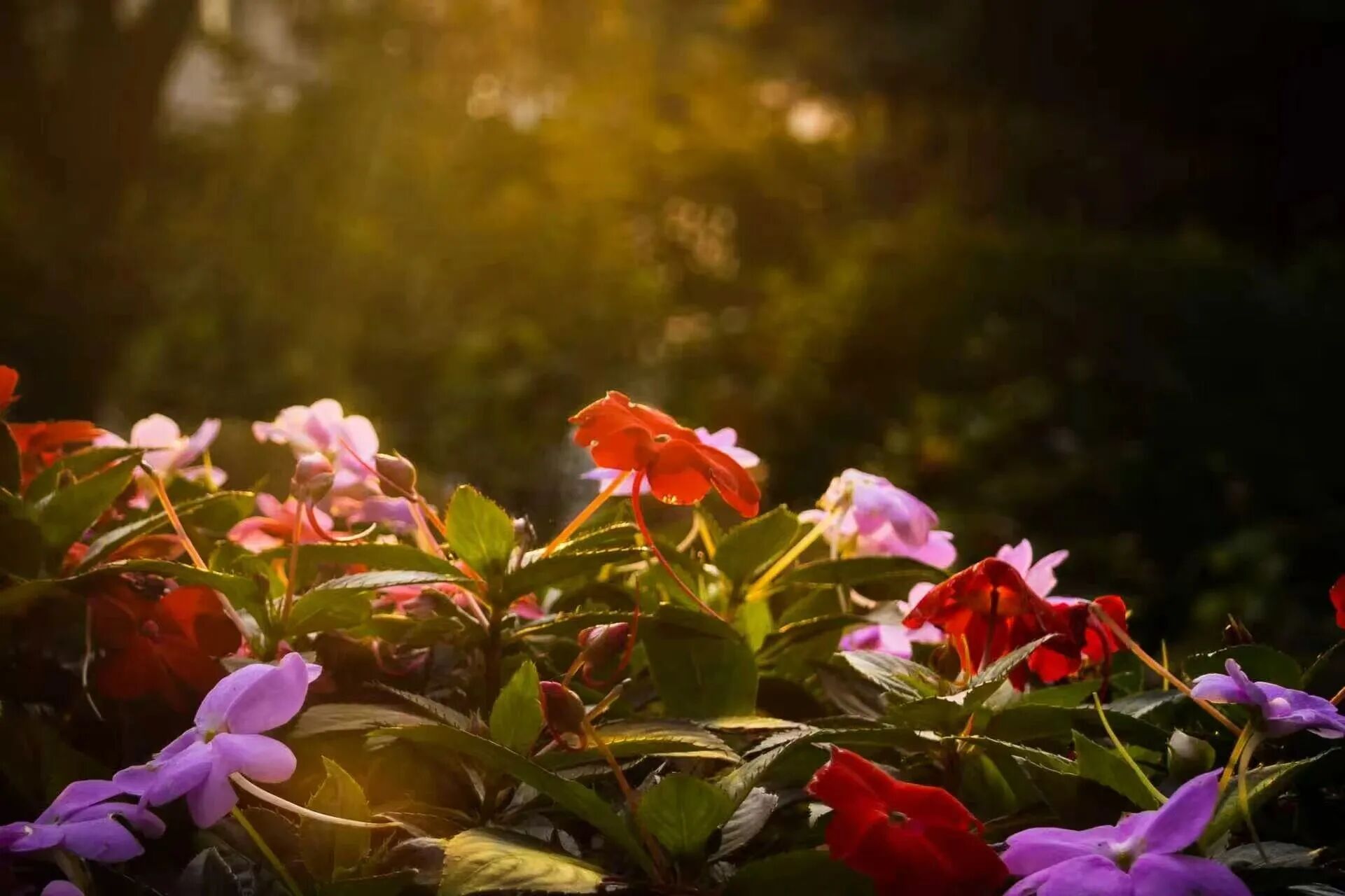 bb电子游戏官网(中国)官方网站