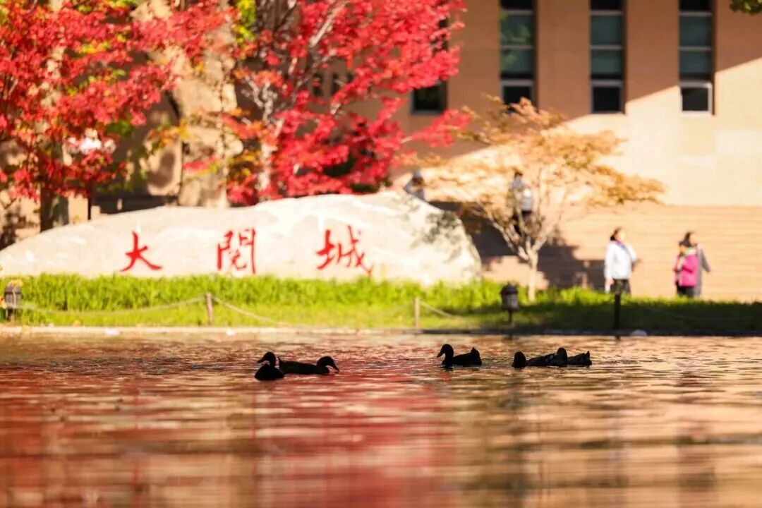 bb电子游戏官网(中国)官方网站