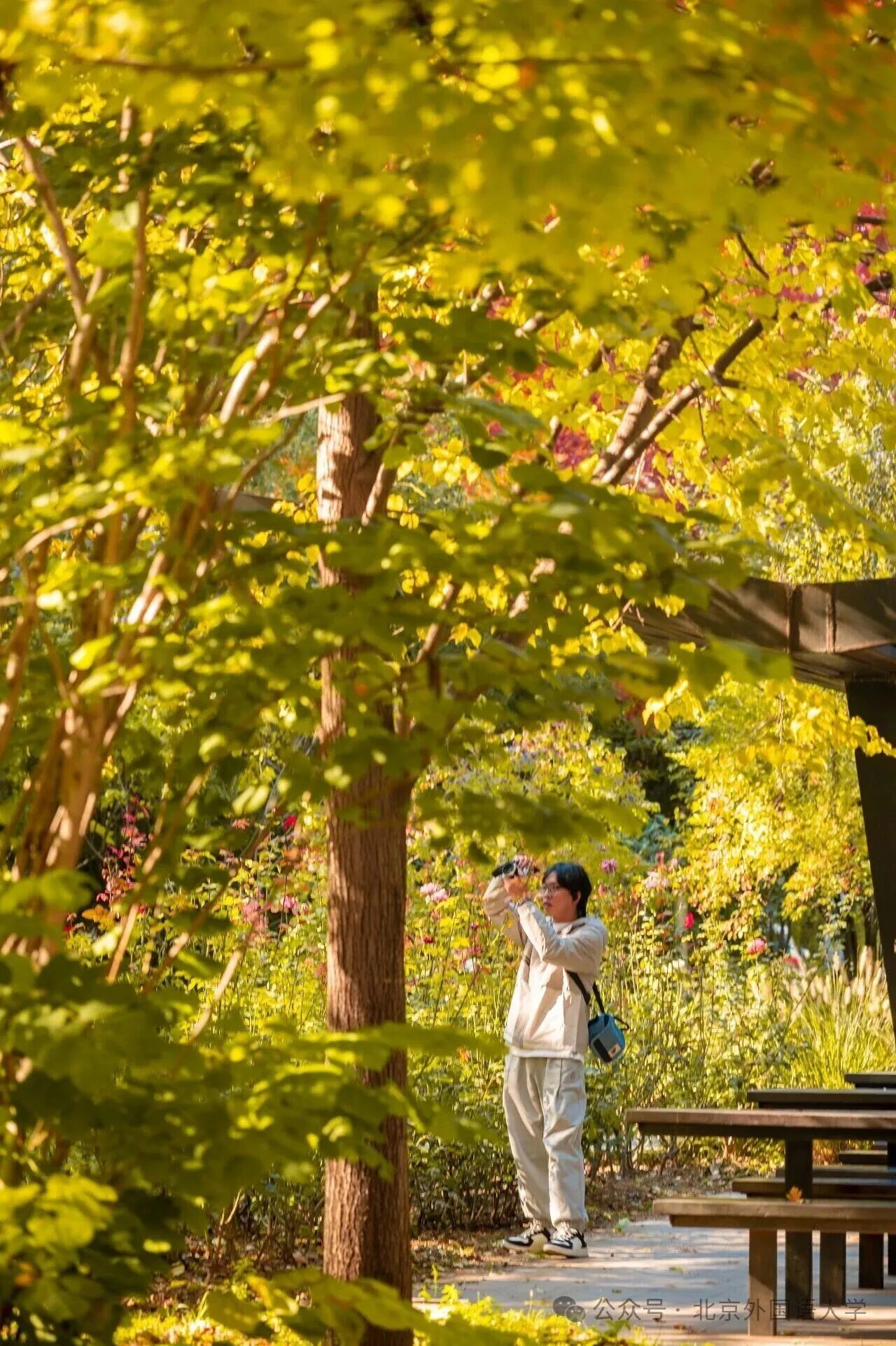 bb电子游戏官网(中国)官方网站