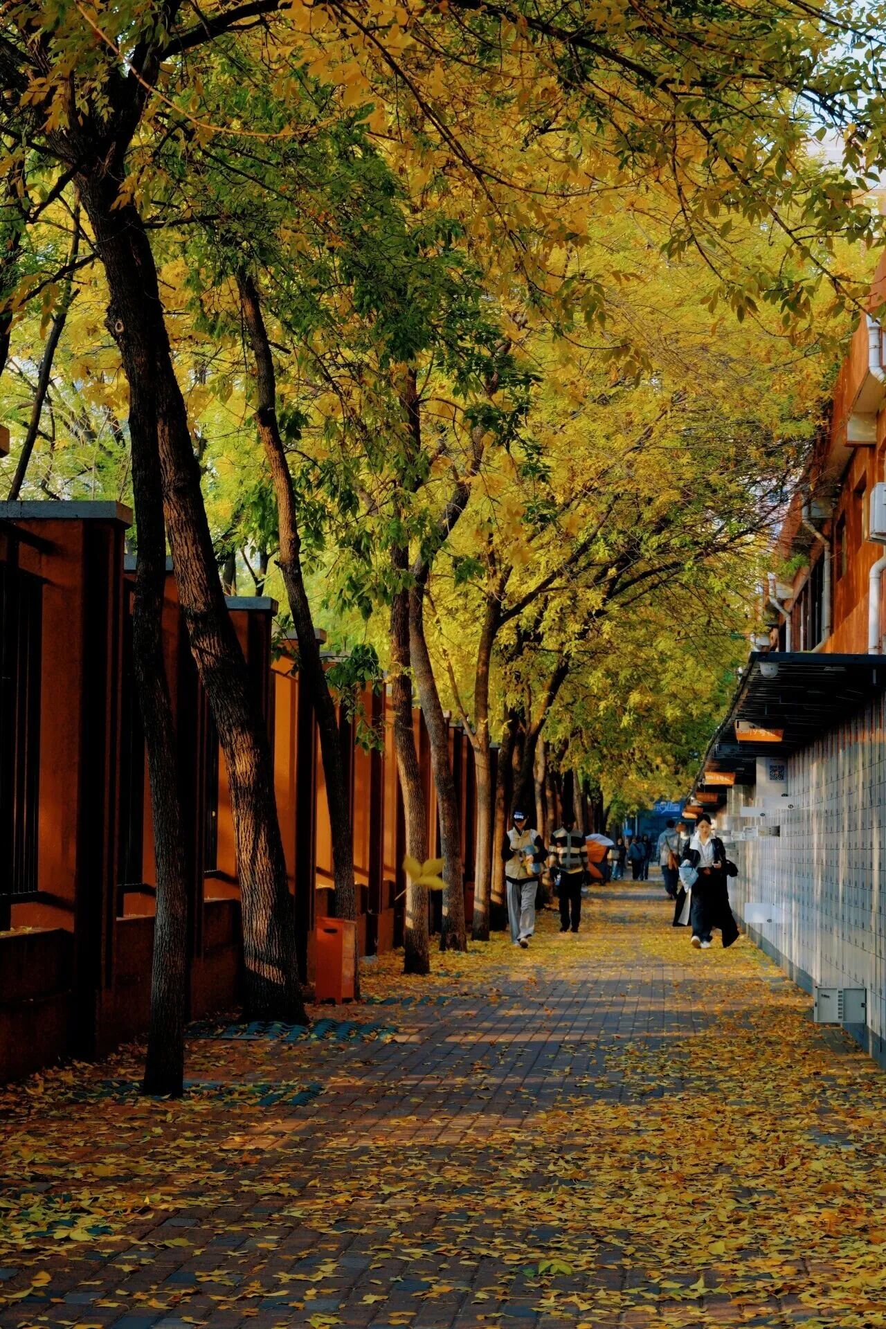 bb电子游戏官网(中国)官方网站