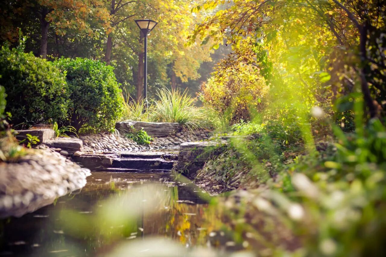 bb电子游戏官网(中国)官方网站