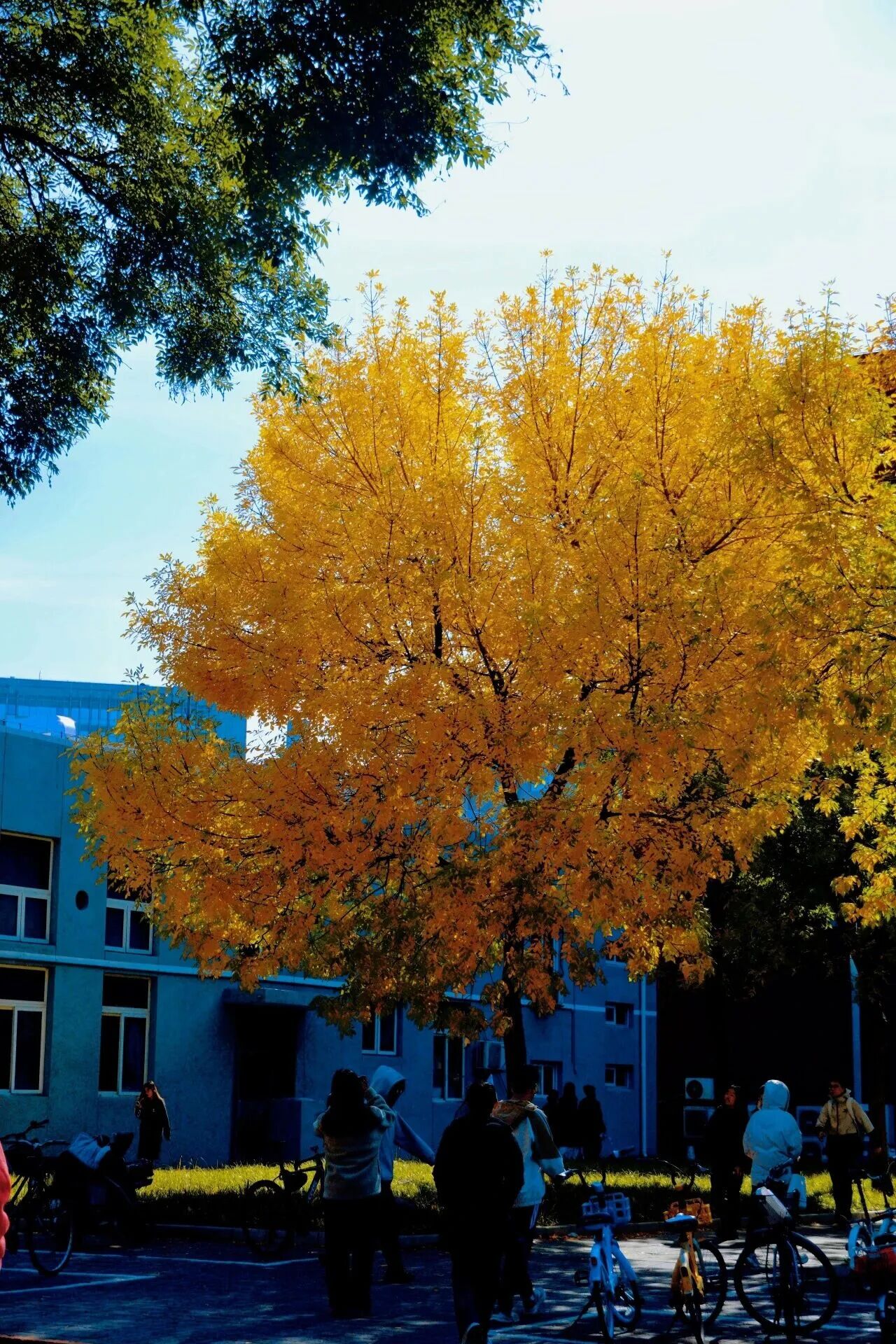 bb电子游戏官网(中国)官方网站