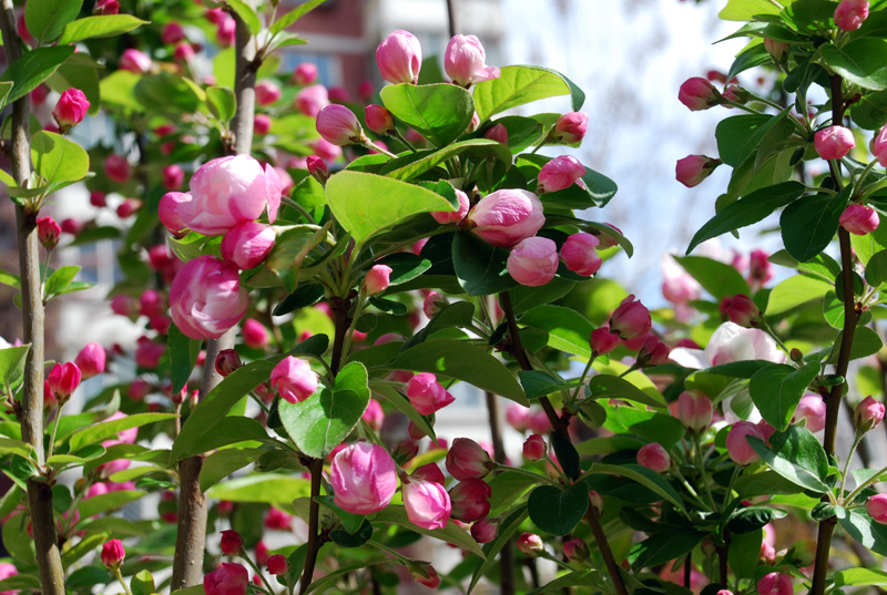 bb电子游戏官网(中国)官方网站