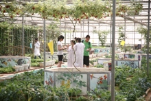 bb电子游戏官网(中国)官方网站