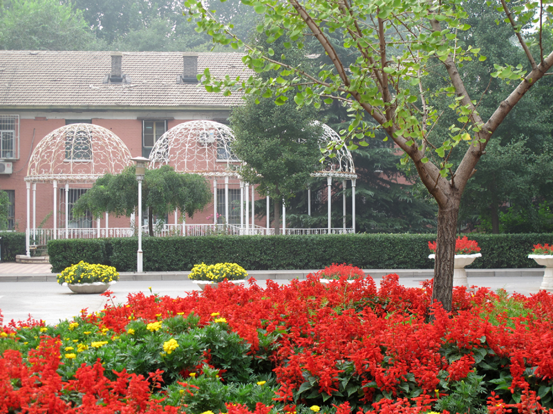 bb电子游戏官网(中国)官方网站