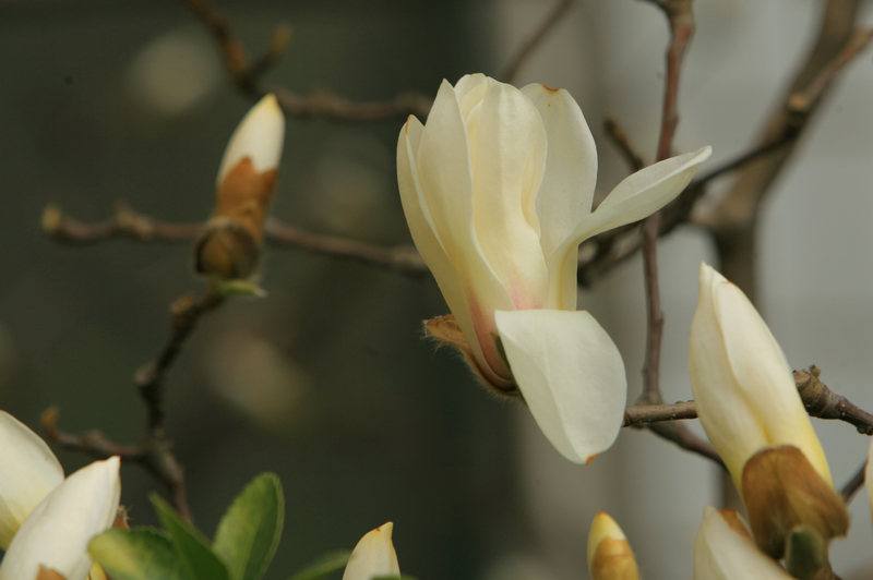 bb电子游戏官网(中国)官方网站