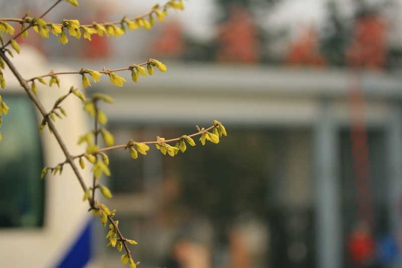 bb电子游戏官网(中国)官方网站