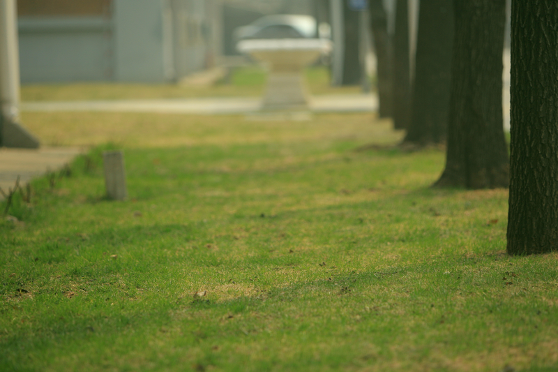 bb电子游戏官网(中国)官方网站