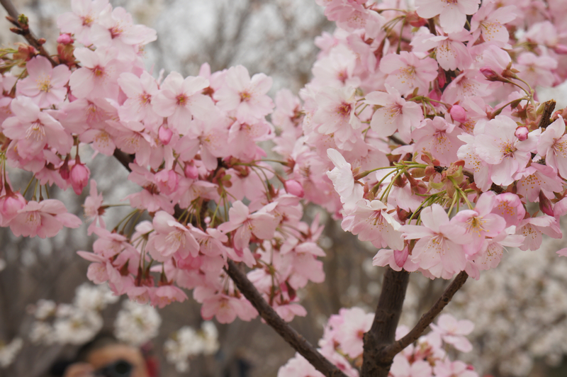bb电子游戏官网(中国)官方网站