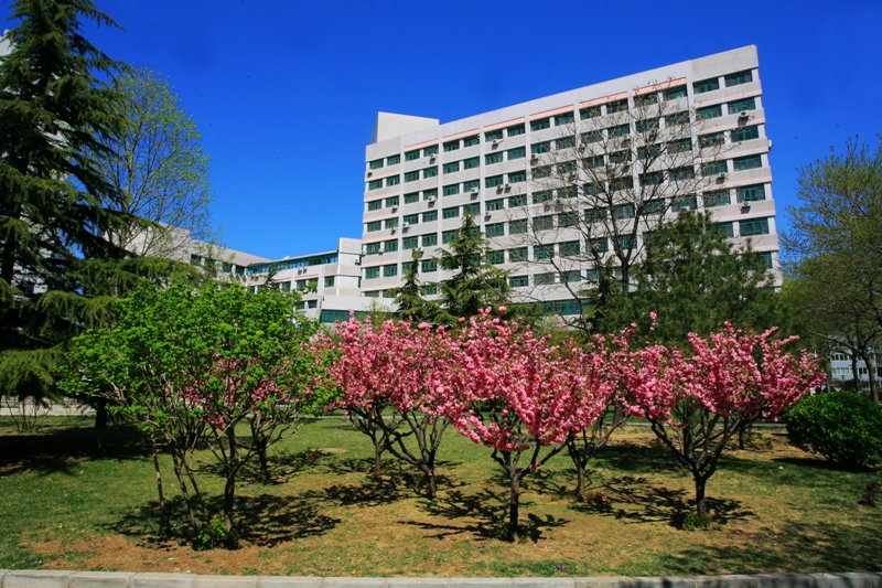 bb电子游戏官网(中国)官方网站