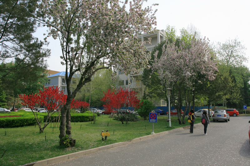 bb电子游戏官网(中国)官方网站