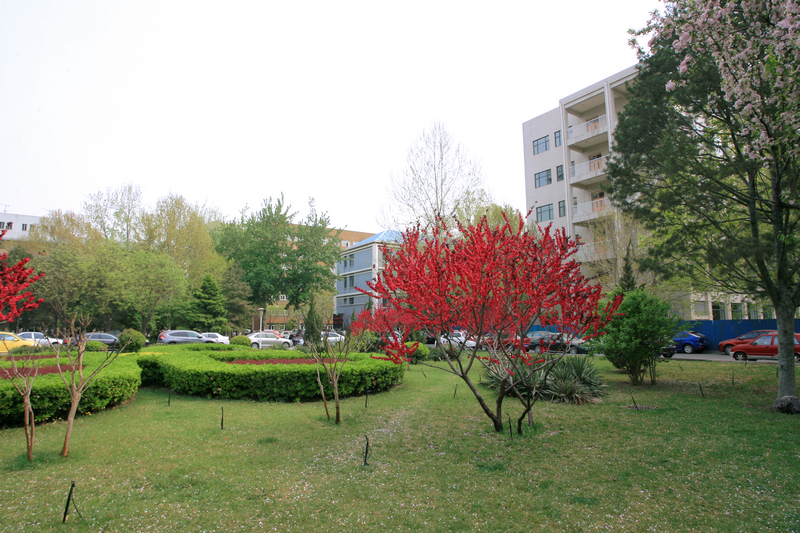 bb电子游戏官网(中国)官方网站