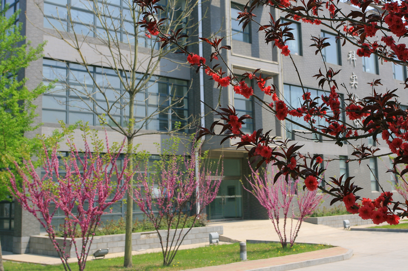 bb电子游戏官网(中国)官方网站