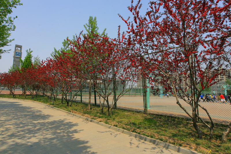 bb电子游戏官网(中国)官方网站