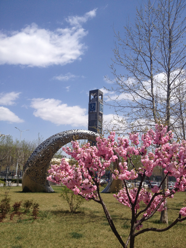 bb电子游戏官网(中国)官方网站