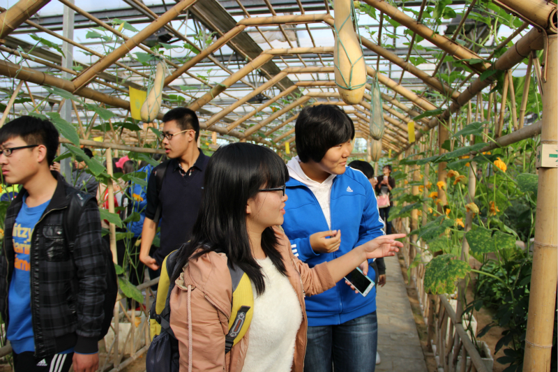 bb电子游戏官网(中国)官方网站