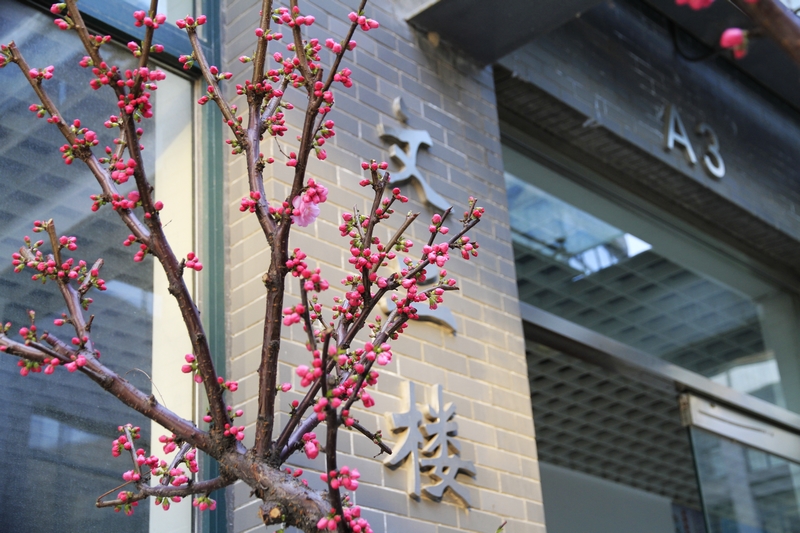 bb电子游戏官网(中国)官方网站