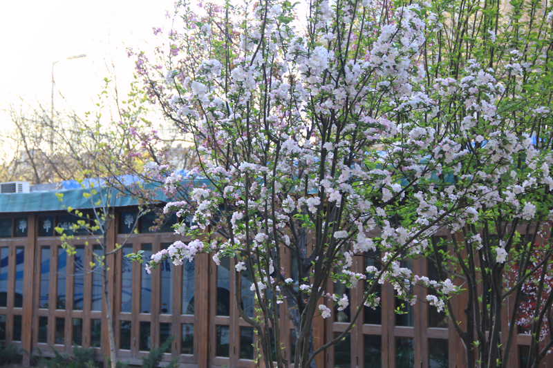 bb电子游戏官网(中国)官方网站