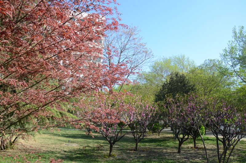 bb电子游戏官网(中国)官方网站