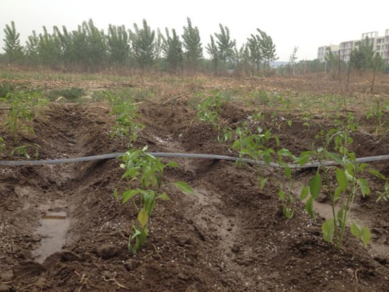 bb电子游戏官网(中国)官方网站