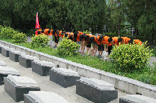 bb电子游戏官网(中国)官方网站