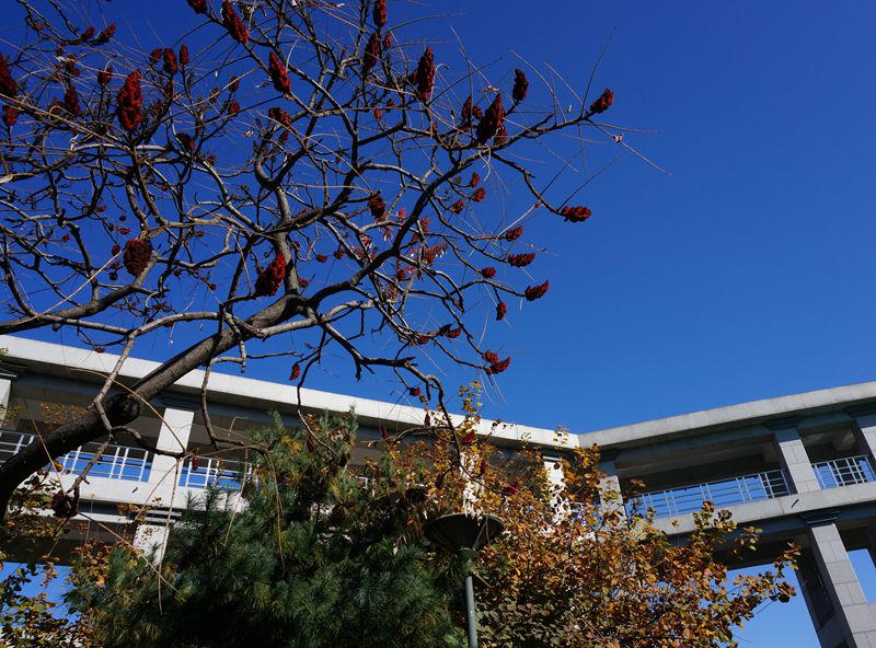 bb电子游戏官网(中国)官方网站