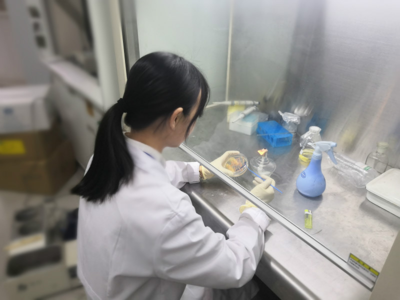 bb电子游戏官网(中国)官方网站